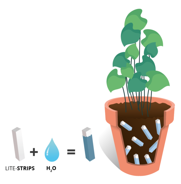 Wasserspeicher für Pflanzen
