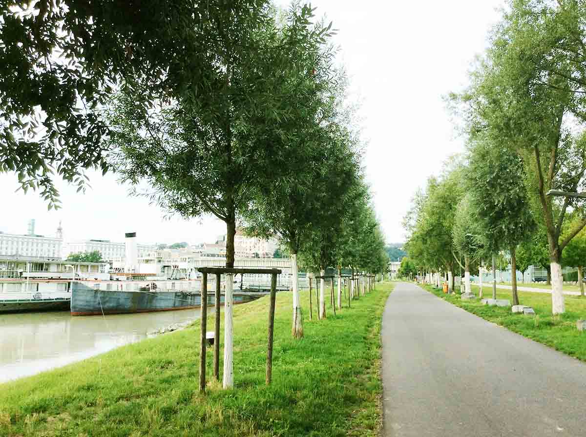 Réservoir d'eau pour les arbres