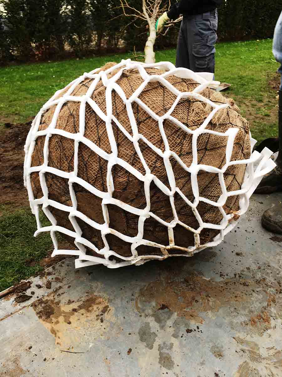 Ahorradores de agua para árboles