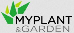 MyPlant 2024 – Prato Verde /Lite-Soil