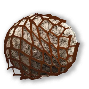 LITE-NET tree <br> <br>